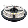 Imagen de TIRA LED 1 COLOR BN703/BN704