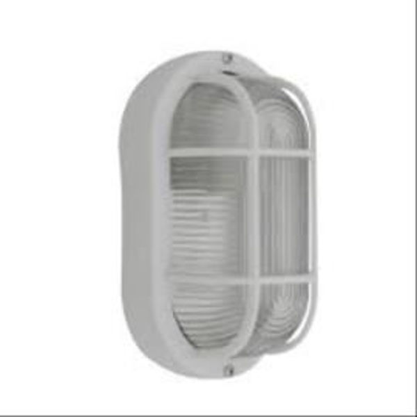 Imagen de APLIQUE TORTUGA MEDIANA L434 GLAND