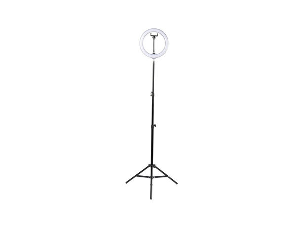 Imagen de ARO LUZ LED 12" XION