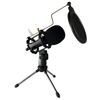 Imagen de MICROFONO CON SOPORTE WG500II  PROFESIONAL