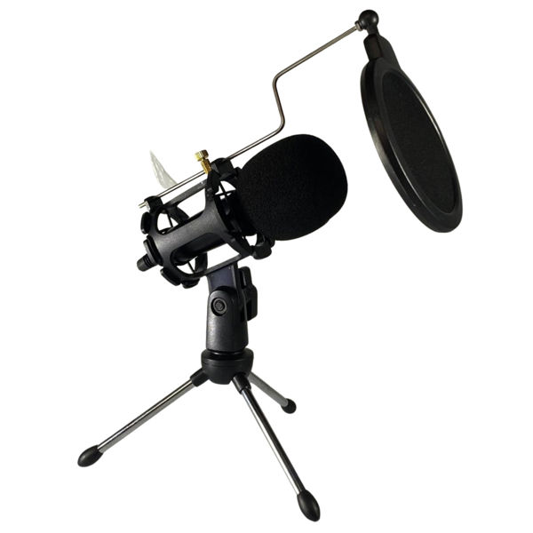 Imagen de MICROFONO CON SOPORTE WG500II  PROFESIONAL