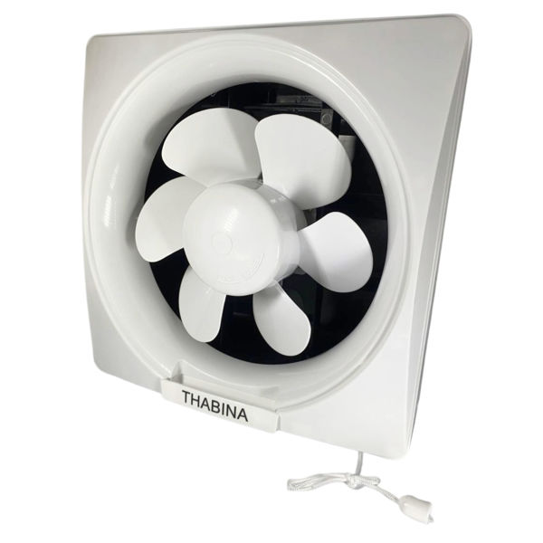 Imagen de EXTRACTOR PARA MURO 20CM BPT20