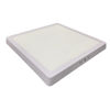 Imagen de PANEL PLAFON CUADRADO 24W LED-MBD24-FF01