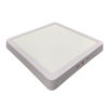 Imagen de PANEL PLAFON CUADRADO GLAND 18W LED BN1028/L1520