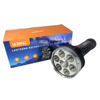 Imagen de LINTERNA LED RECARGABLE  LELONG-LE-LT0193